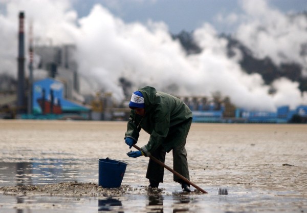 A loita xudicial contra a permanencia de ENCE na Ría de Pontevedra.'s header image