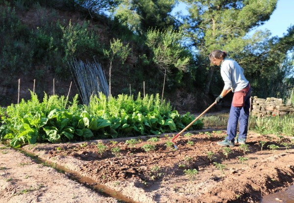 Col·lectiu Eixarcolant, transformant el model agroalimentari's header image