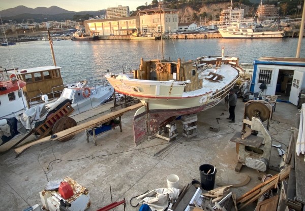 ODINA, SEMPRE AVANT!'s header image