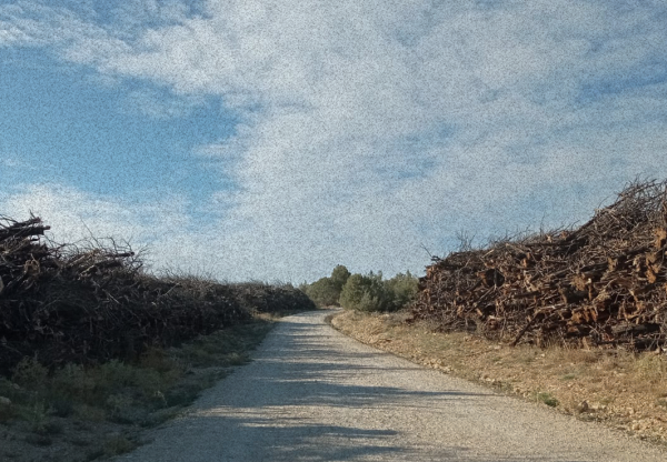 La miel's header image
