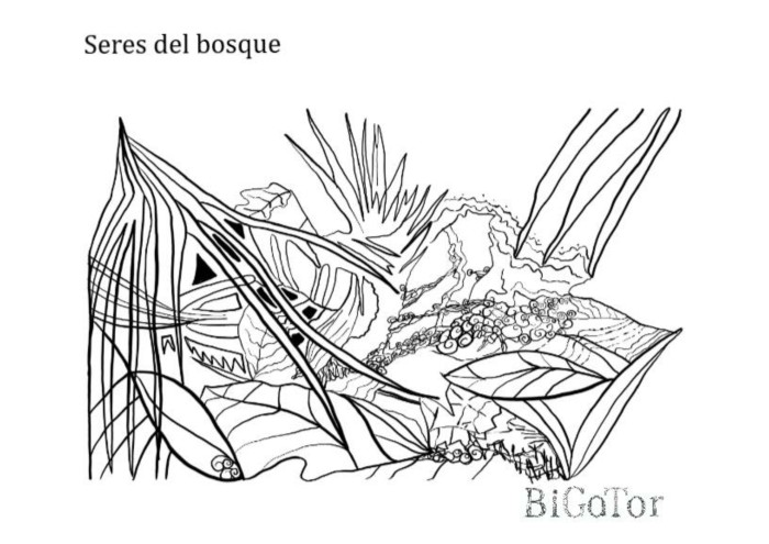 a5-003-seresdelbosque.jpg