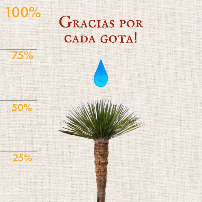 Hemos llegado al 50%!