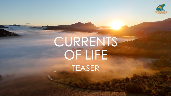 Film production update