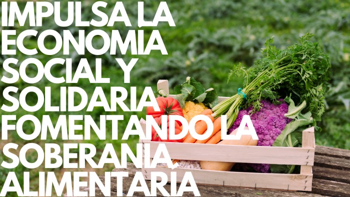 impulsa-la-economia-social-y-solidaria-fomentando-